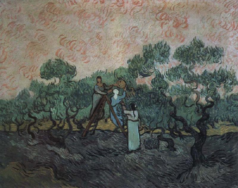 Vincent Van Gogh the olive pickers,saint remy,1889